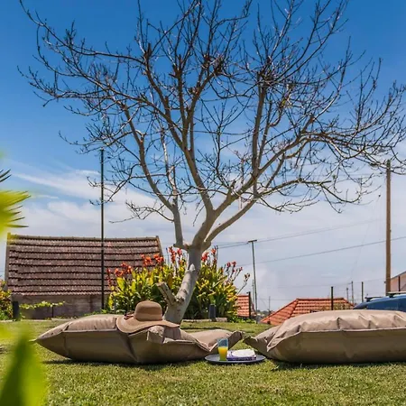 Casinha Dos Canhas By An Island