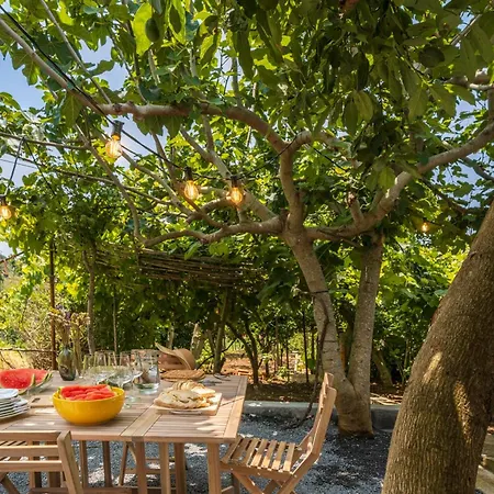 Casinha Dos Canhas By An Island Prázdninový dům Ponta do Sol (Madeira)